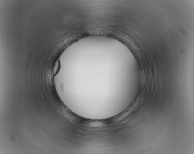 X0000110740669200906151104