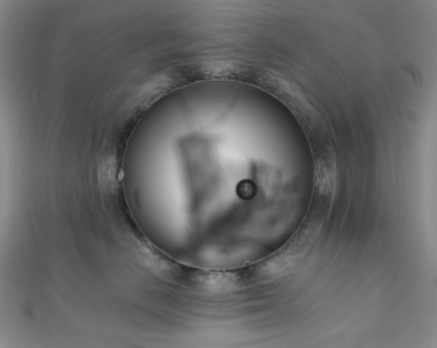 X0000110740670200906151104