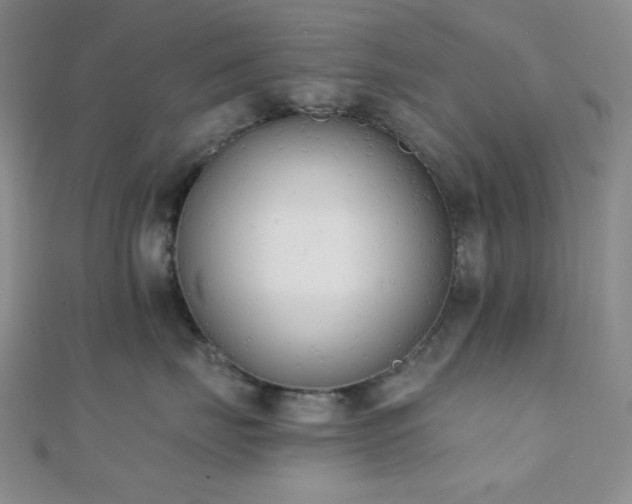 X0000110740671200906151104