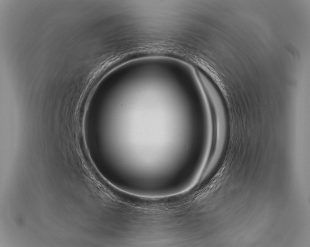 X0000110740673200906151104