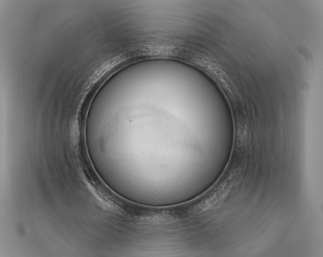 X0000110740674200906151104