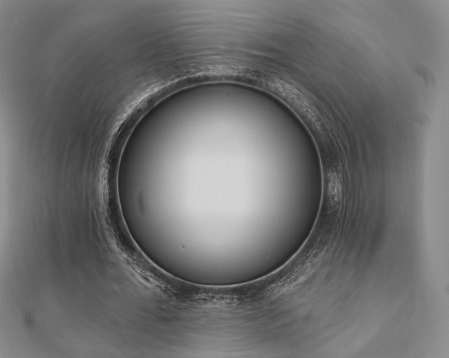 X0000110740676200906151104