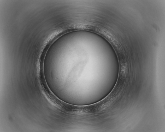 X0000110740678200906151104