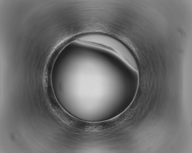 X0000110740680200906151104