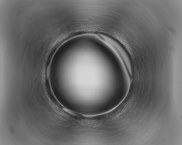 X0000110740681200906151104