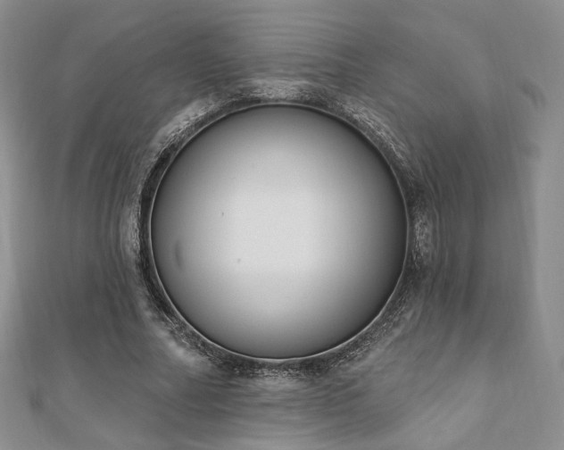 X0000110740682200906151104