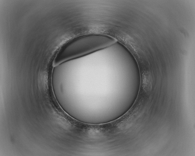 X0000110740684200906151104