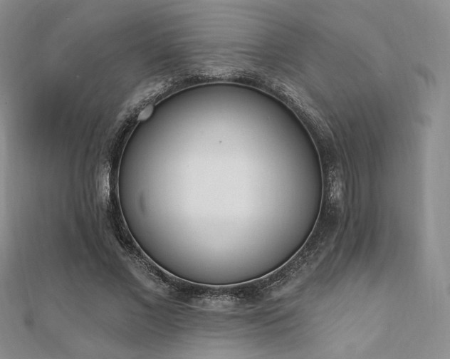 X0000110740685200906151104