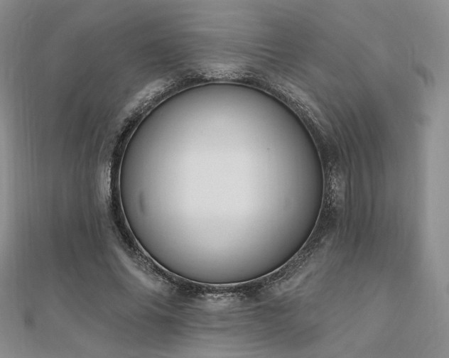 X0000110740686200906151104