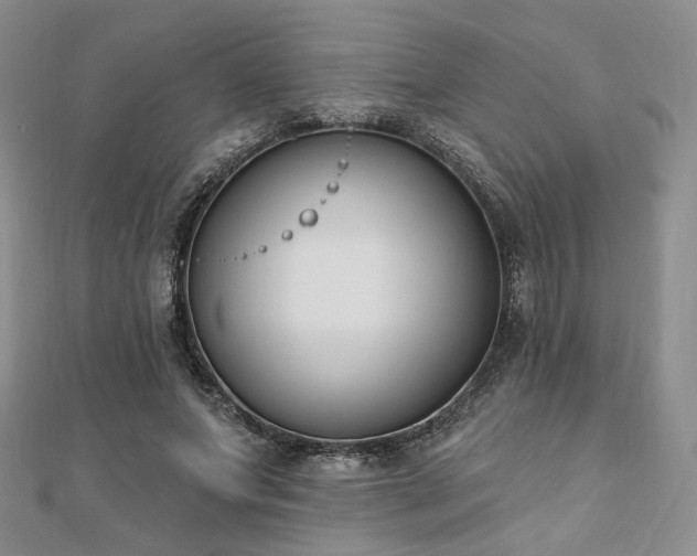 X0000110740687200906151104