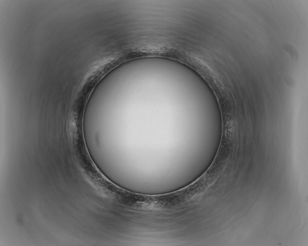 X0000110740688200906151104