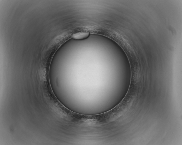 X0000110740689200906151104