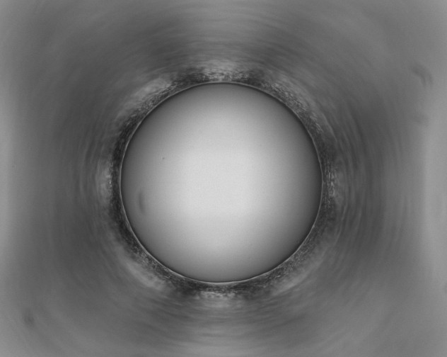 X0000110740690200906151104