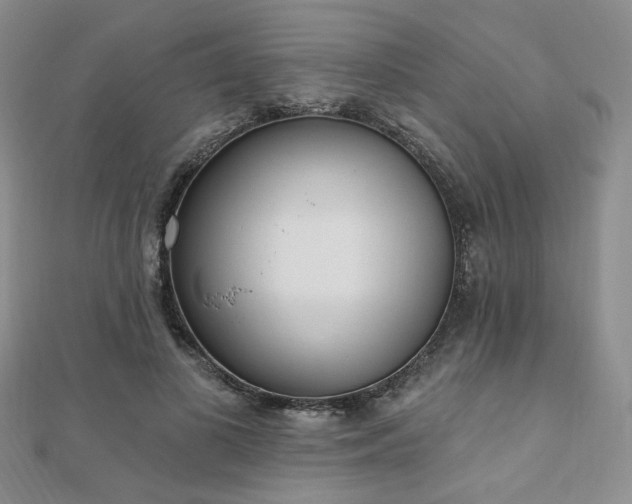 X0000110740693200906151104