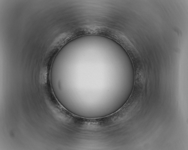 X0000110740694200906151104