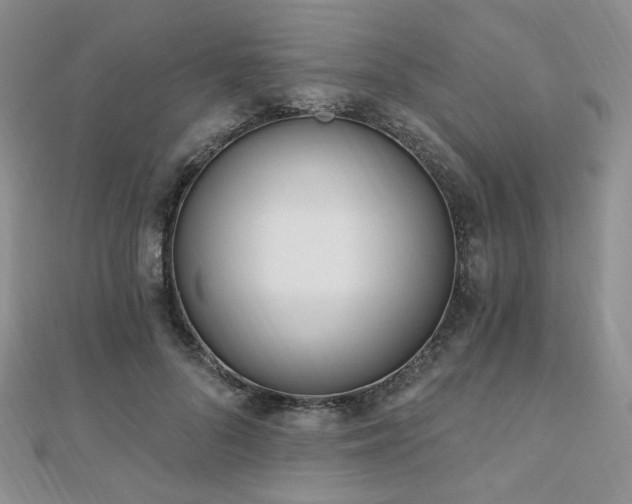 X0000110740696200906151104