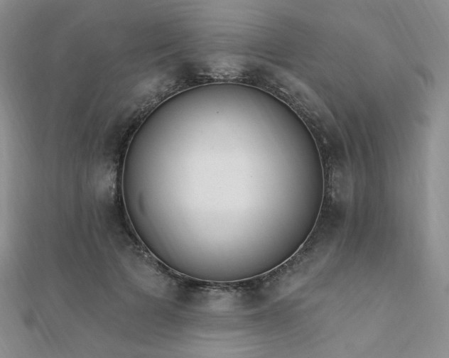 X0000110740697200906151104