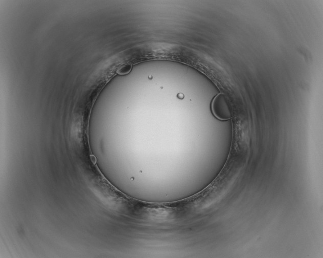 X0000110740698200906151104