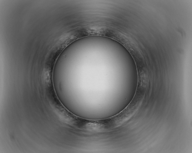X0000110740699200906151104