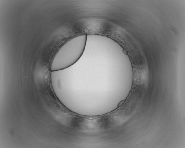 X0000110740701200906151104