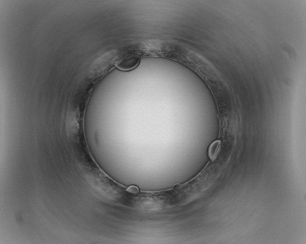 X0000110740702200906151104