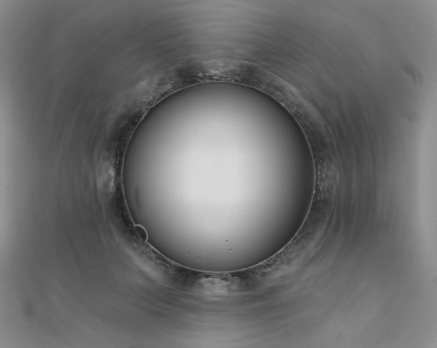 X0000110740703200906151104