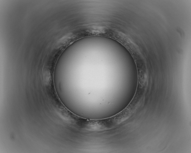 X0000110740704200906151103