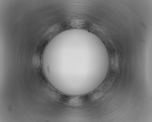 X0000110740705200906151103