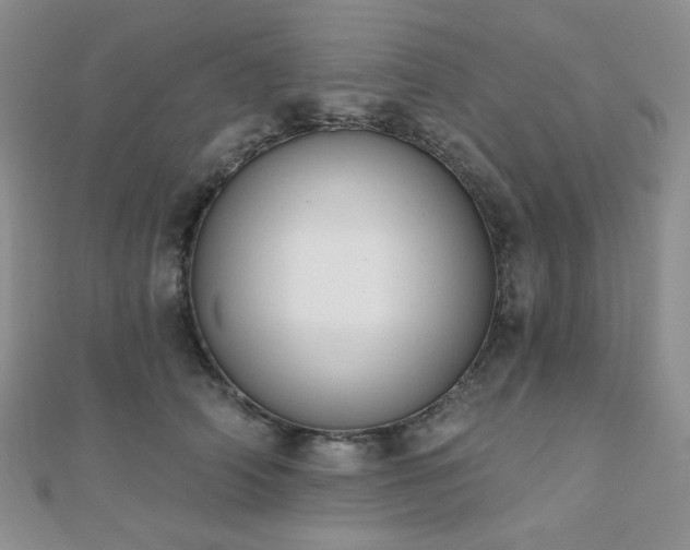 X0000110740706200906151103