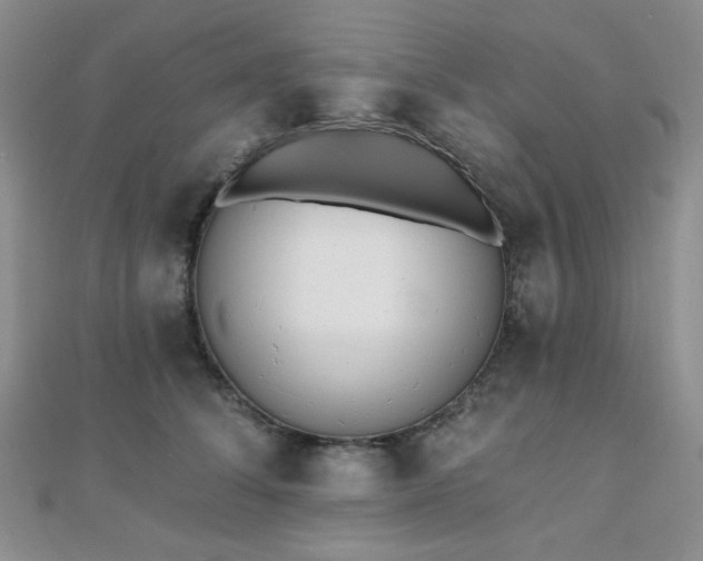 X0000110740708200906151103