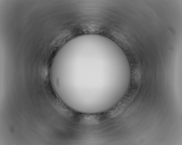X0000110740709200906151103