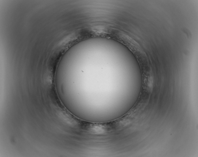 X0000110740710200906151103