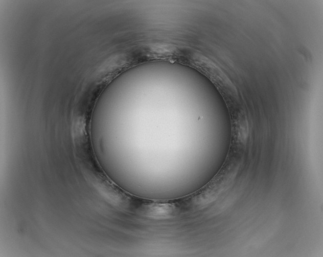 X0000110740711200906151103
