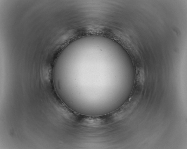 X0000110740712200906151103