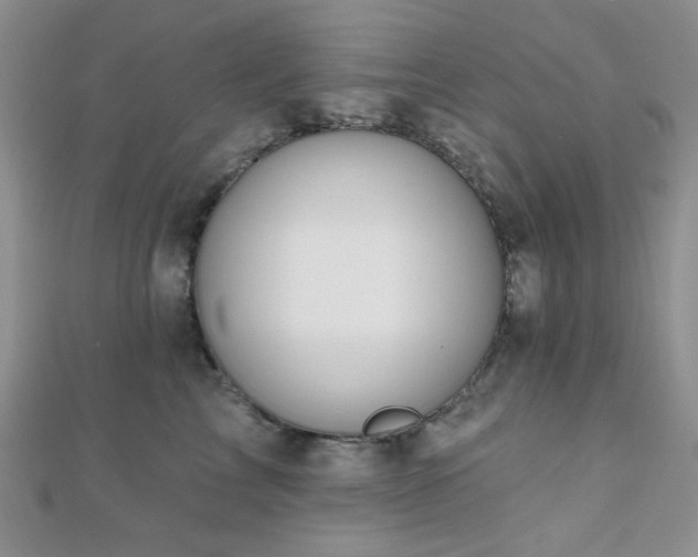 X0000110740713200906151103