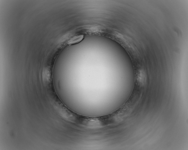 X0000110740715200906151103