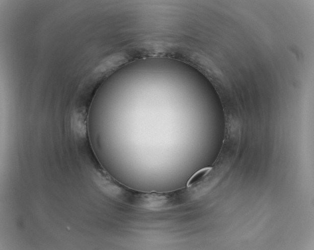 X0000110740719200906151103