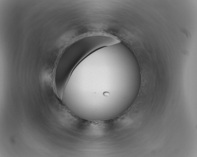 X0000110740720200906151103
