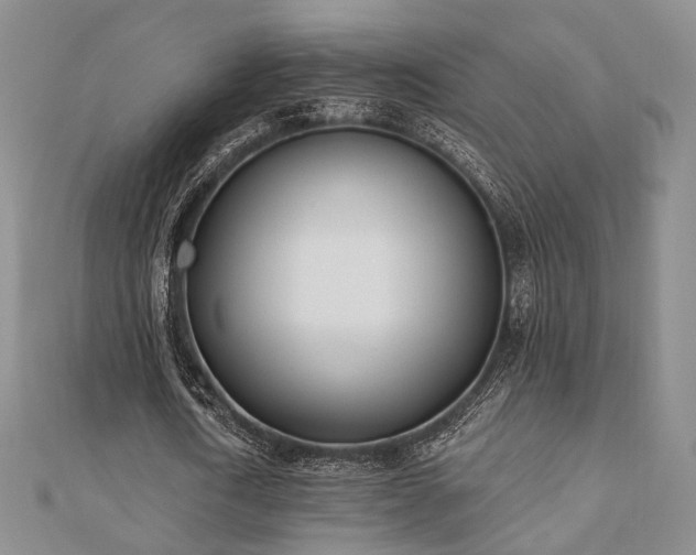 X0000110740722200906151103