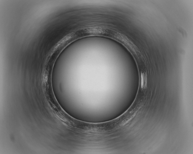 X0000110740723200906151103