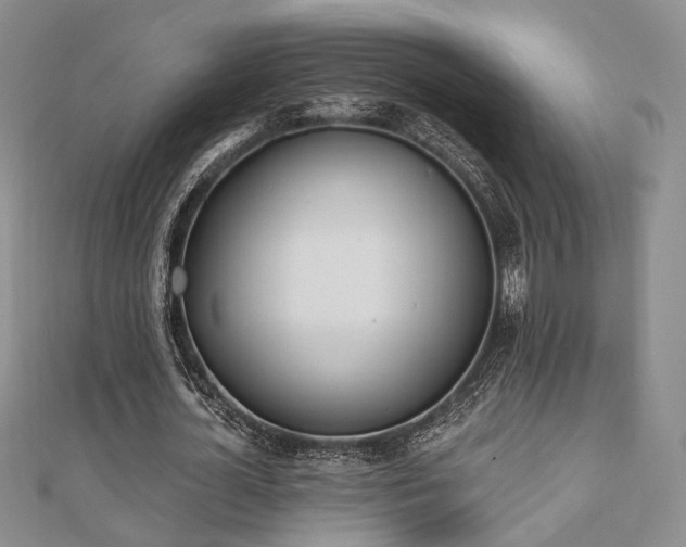 X0000110740724200906151103
