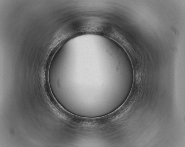 X0000110740725200906151103