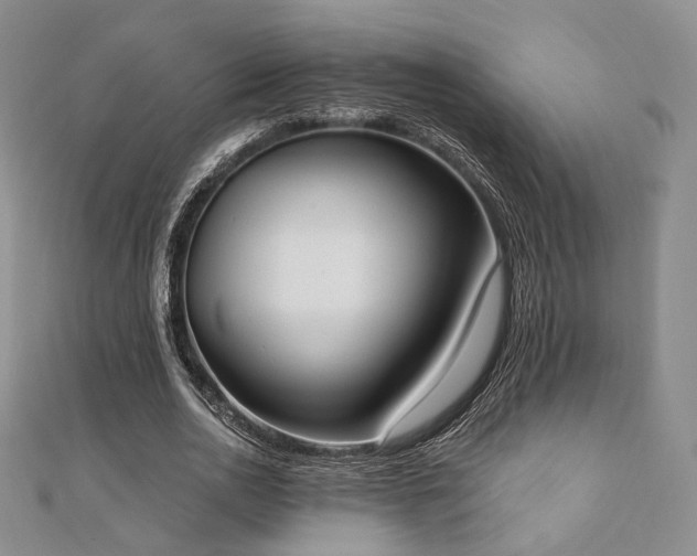 X0000110740726200906151103