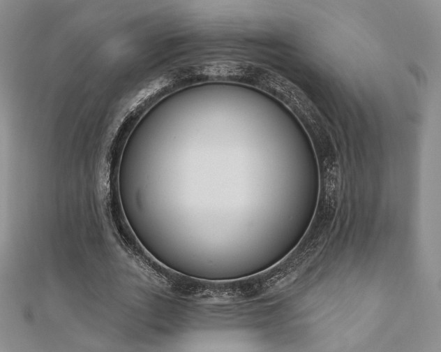 X0000110740727200906151103