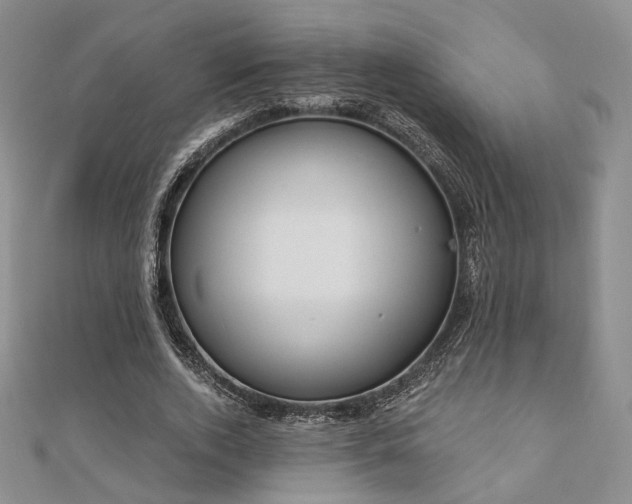 X0000110740728200906151103