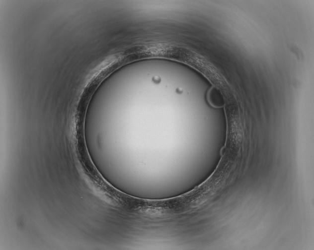 X0000110740730200906151103