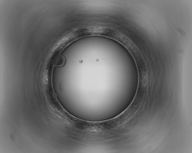 X0000110740731200906151103