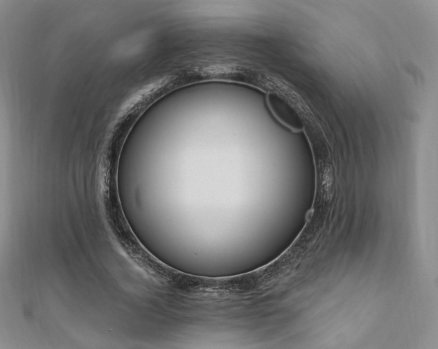 X0000110740732200906151103