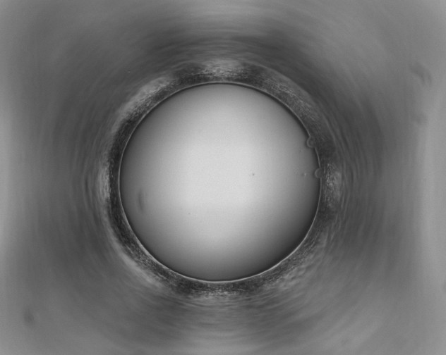 X0000110740734200906151103