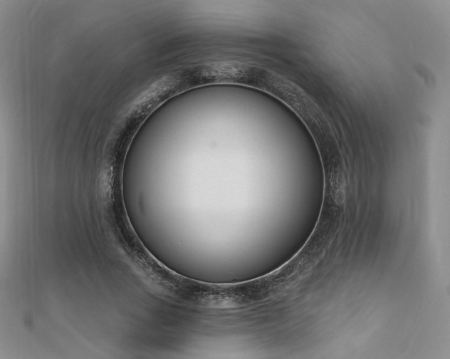 X0000110740735200906151103